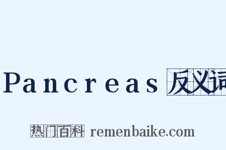 Pancreas反义词是什么意思的图片